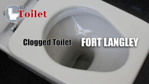 Clogged Toilet Fort Langley