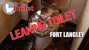 Leaking Toilet Fort Langley