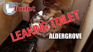 Leaking Toilet Aldergrove
