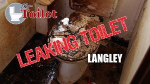 Leaking Toilet Langley