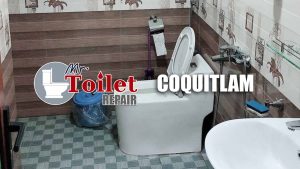 Toilet Repair COQUITLAM