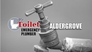 Toilet Emergency Plumber Aldergrove