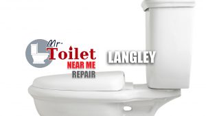 Toilet Repair Near Me Langley