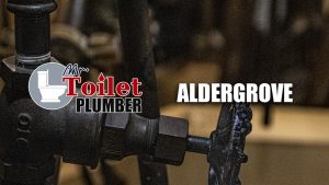 Toilet Plumber Aldergrove