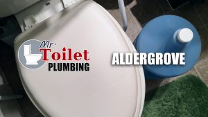 Toilet Plumbing Aldergrove
