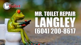 Toilet Repair Langley