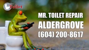 Toilet Repair Aldergrove BC