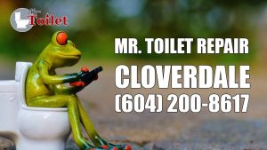 Toilet Repair Cloverdale