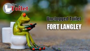 Unclog Toilet Fort Langley