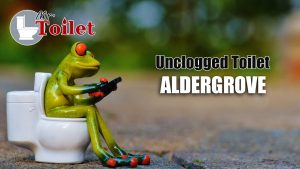 Unclogged Toilet Aldergrove