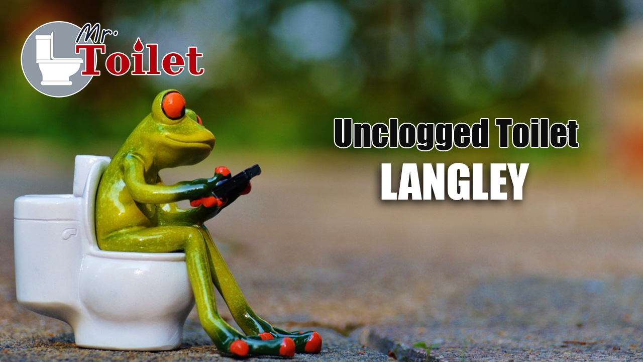 Unclogged Toilet Langley
